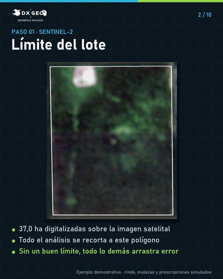 Paso 1: límite del lote