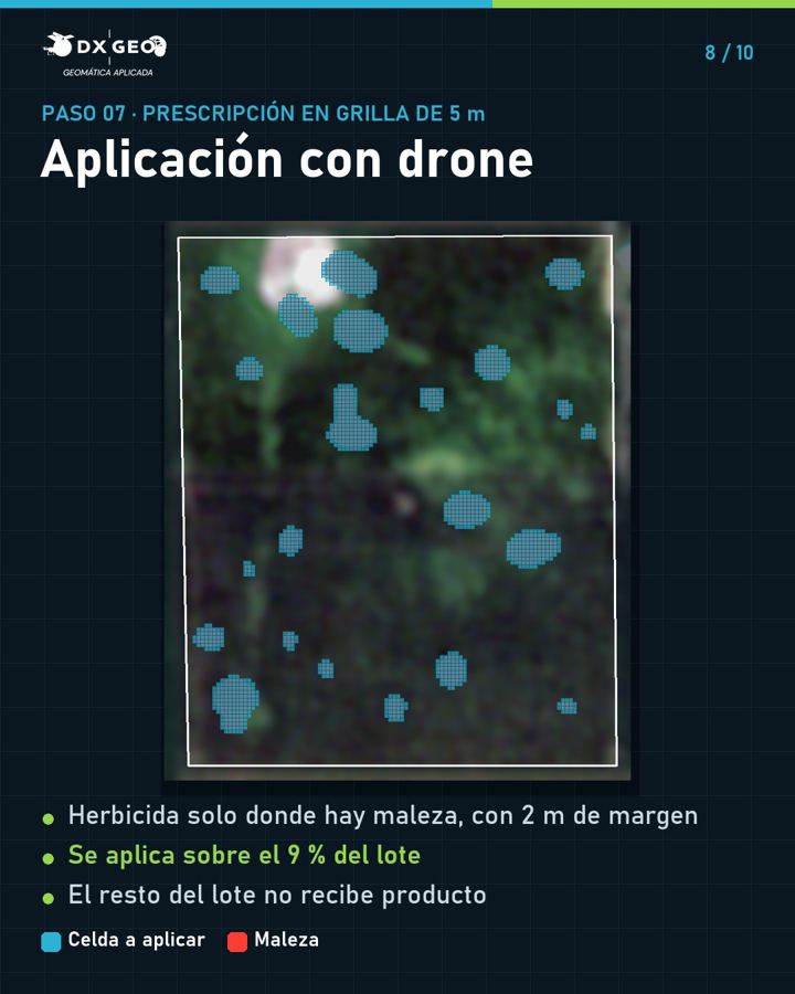 Paso 7: aplicación con drone en grilla de 5 m